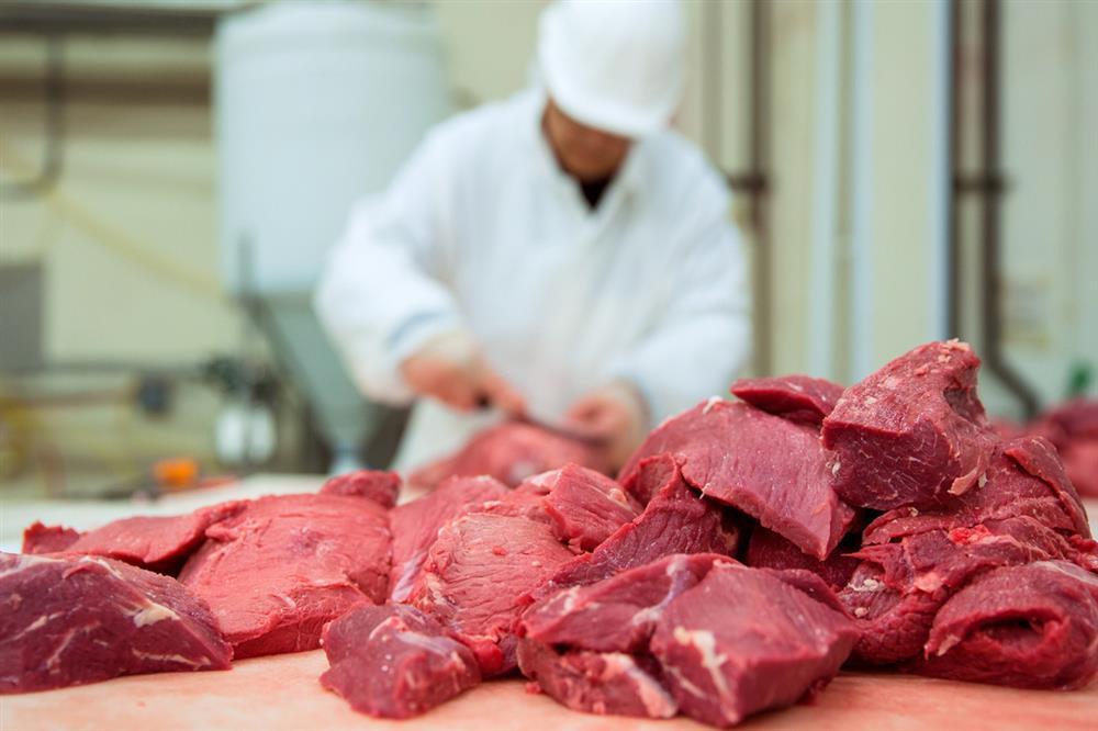 свежее мясо нарезка